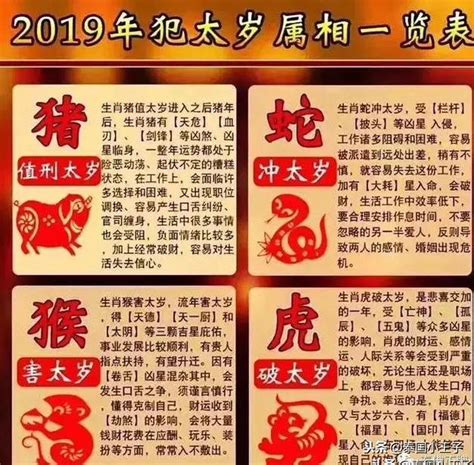 豬 生肖|小心2025！4生肖犯太歲恐「遇小人又破財」 化解方法曝光 